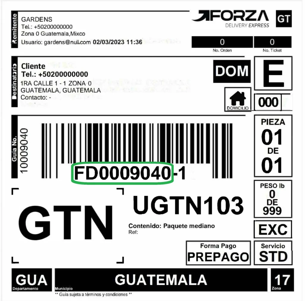 guia 1 scaled